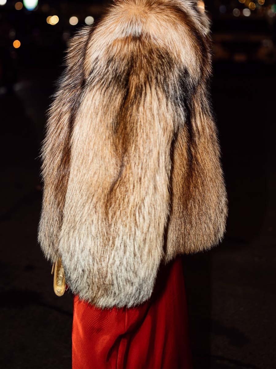 Fashion Long Sleeve Faux Fur Coat fashgoods