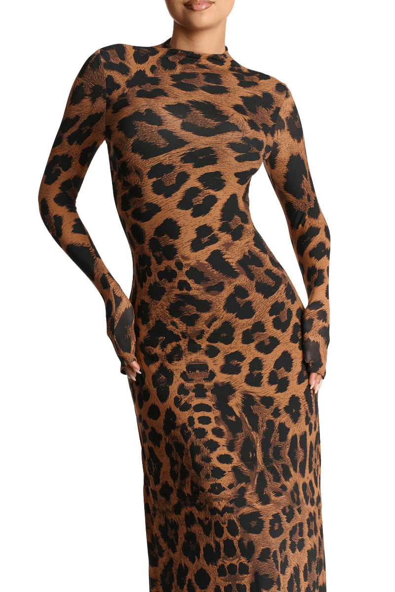 Leopard Print Long Sleeve Maxi Dress voguety