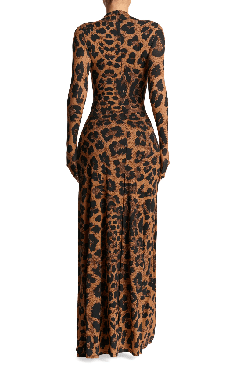 Leopard Print Long Sleeve Maxi Dress voguety