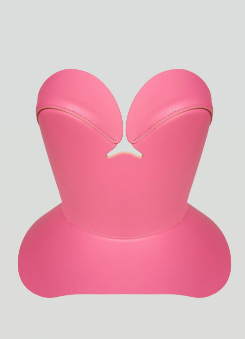 The Fab Corset - laseze